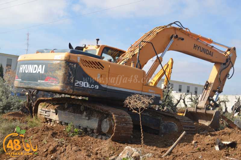 hadm ramla zatoen (34).JPG